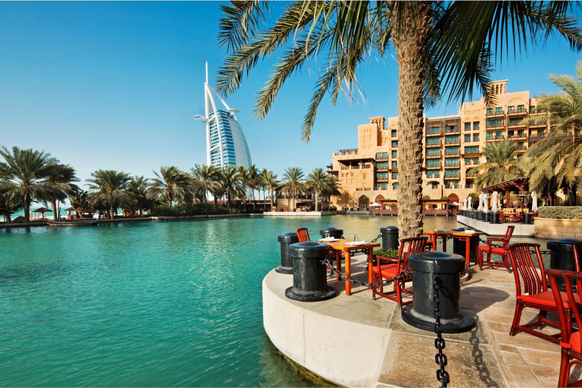 A tranquil Dubai resort waterfront framed by palms, calm between meetings.