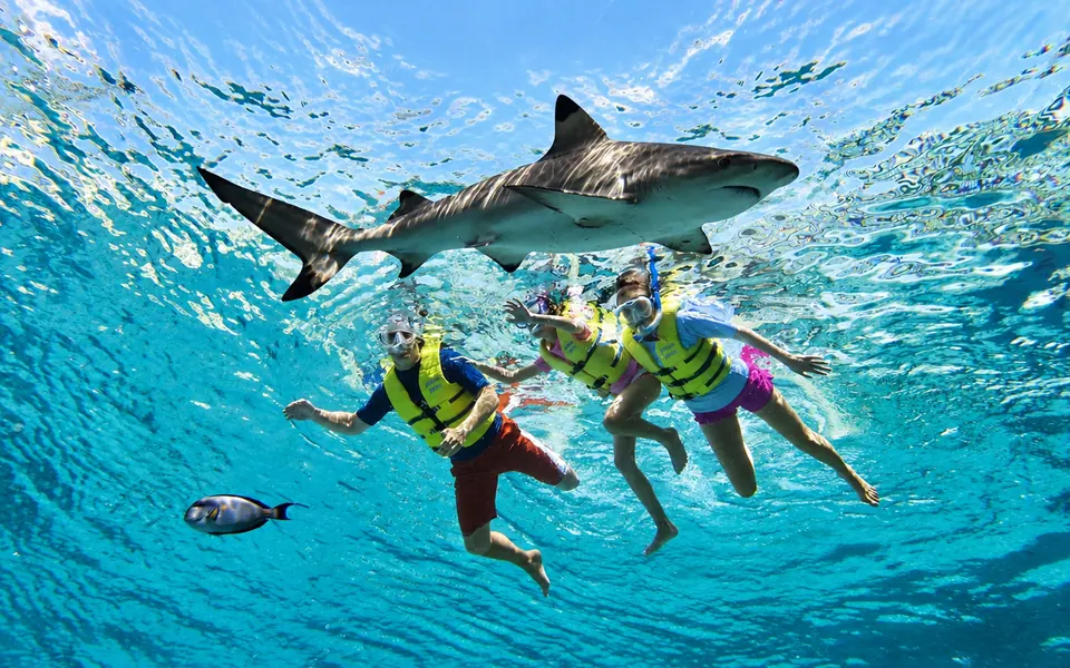 Atlantis Ultimate Snorkel Experience — Dubai