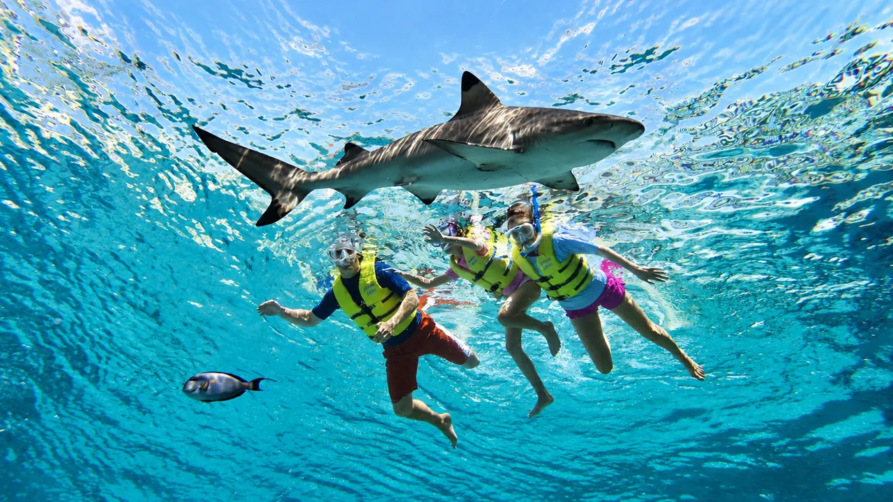 Atlantis Ultimate Snorkel Experience — Dubai, photo 1