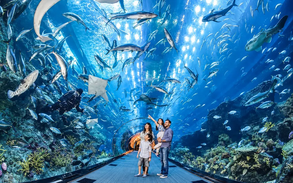 Dubai Aquarium and Underwater Zoo — Dubai