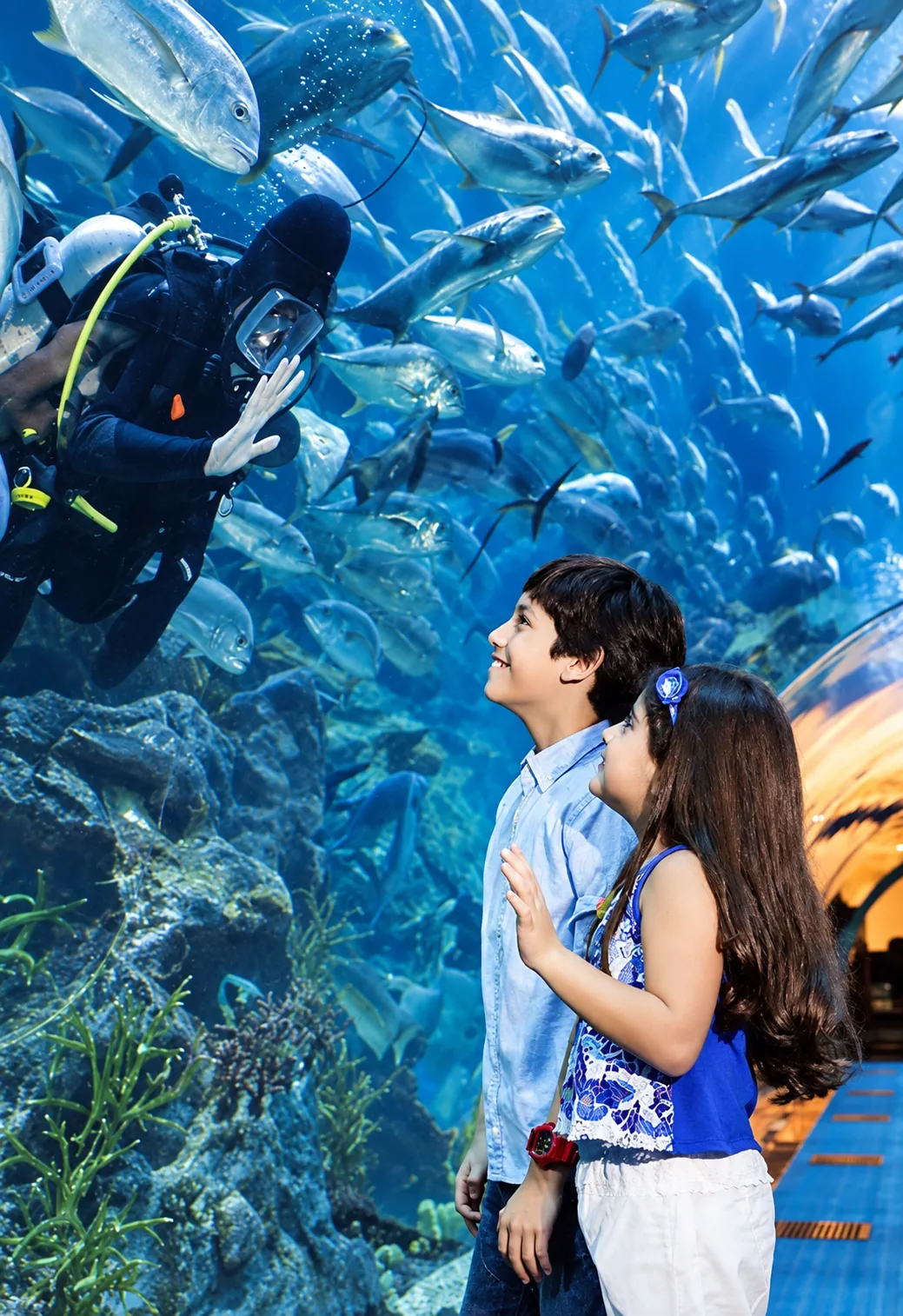 Dubai Aquarium and Underwater Zoo — Dubai, photo 4