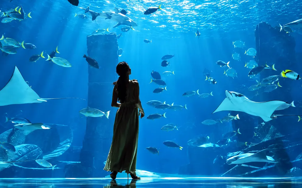 Lost World Aquarium — Dubai