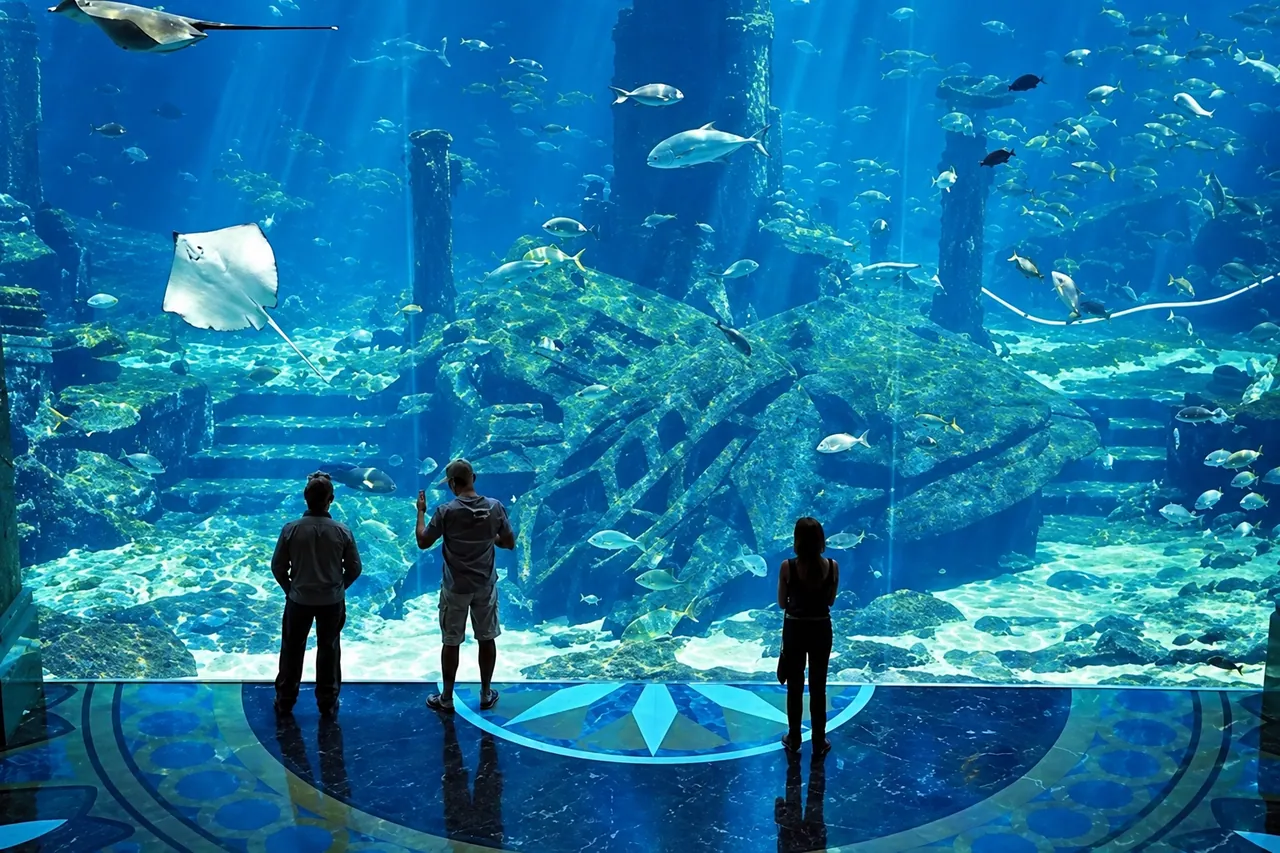 Lost World Aquarium — Dubai, photo 2