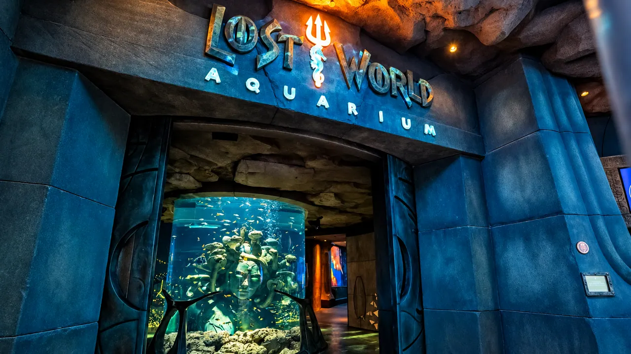 Lost World Aquarium — Dubai, photo 4