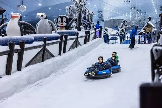 Ski Dubai — Dubai, photo 1