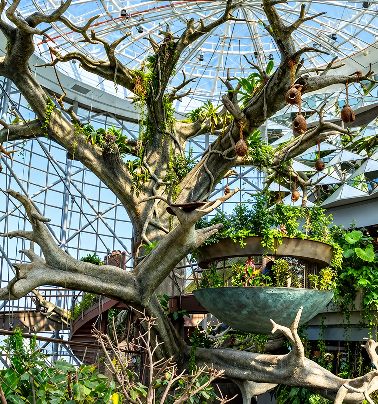 The Green Planet Dubai — Dubai, photo 2