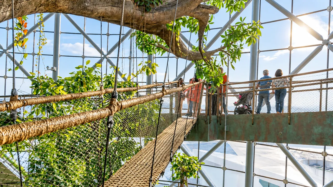 The Green Planet Dubai — Dubai, photo 5