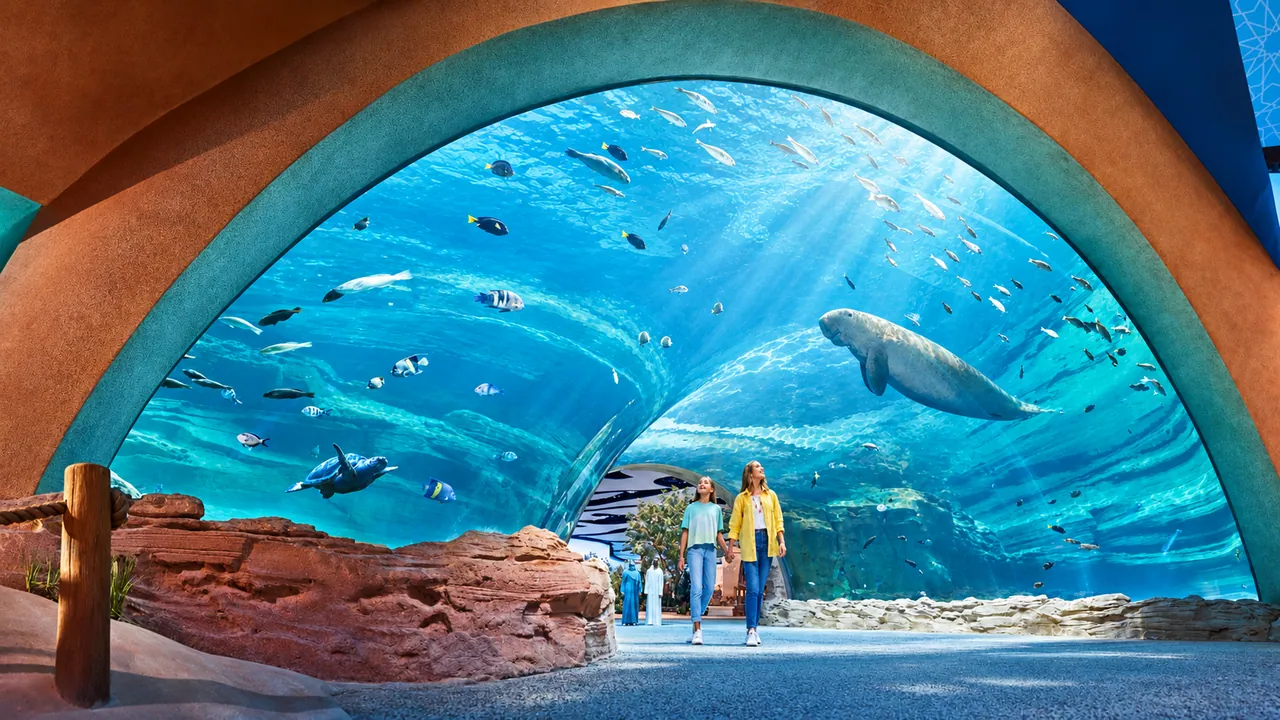 SeaWorld Abu Dhabi — Dubai, photo 2